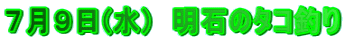 VX()@΂̃^Rނ